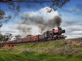 Victorian Goldfields Railway