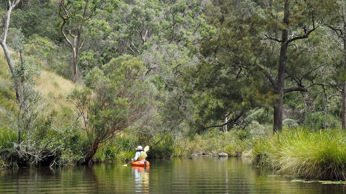 Kayaker on Connolly Dam