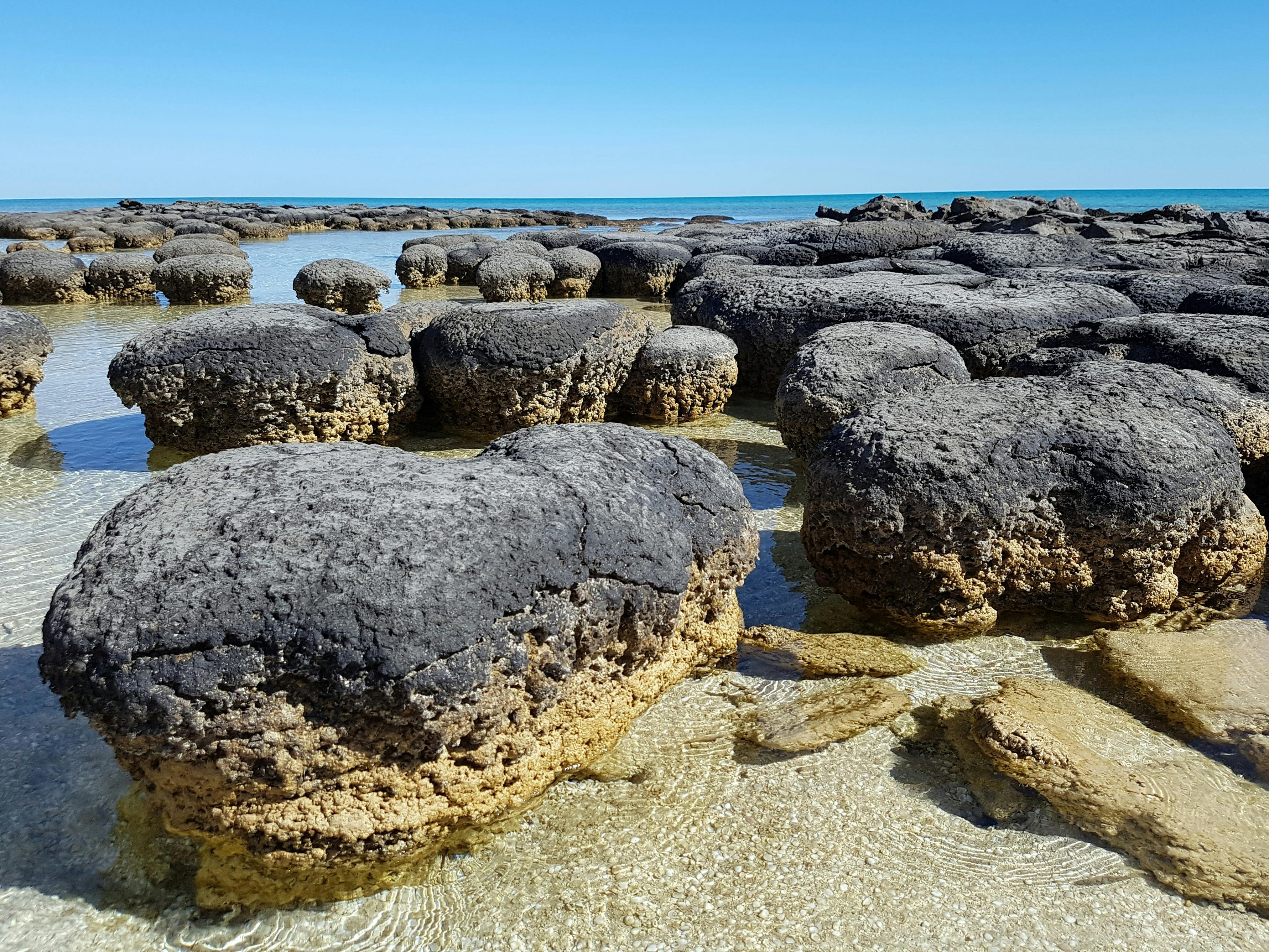 Shark Bay 4WD, Shark Bay, Western Australia
