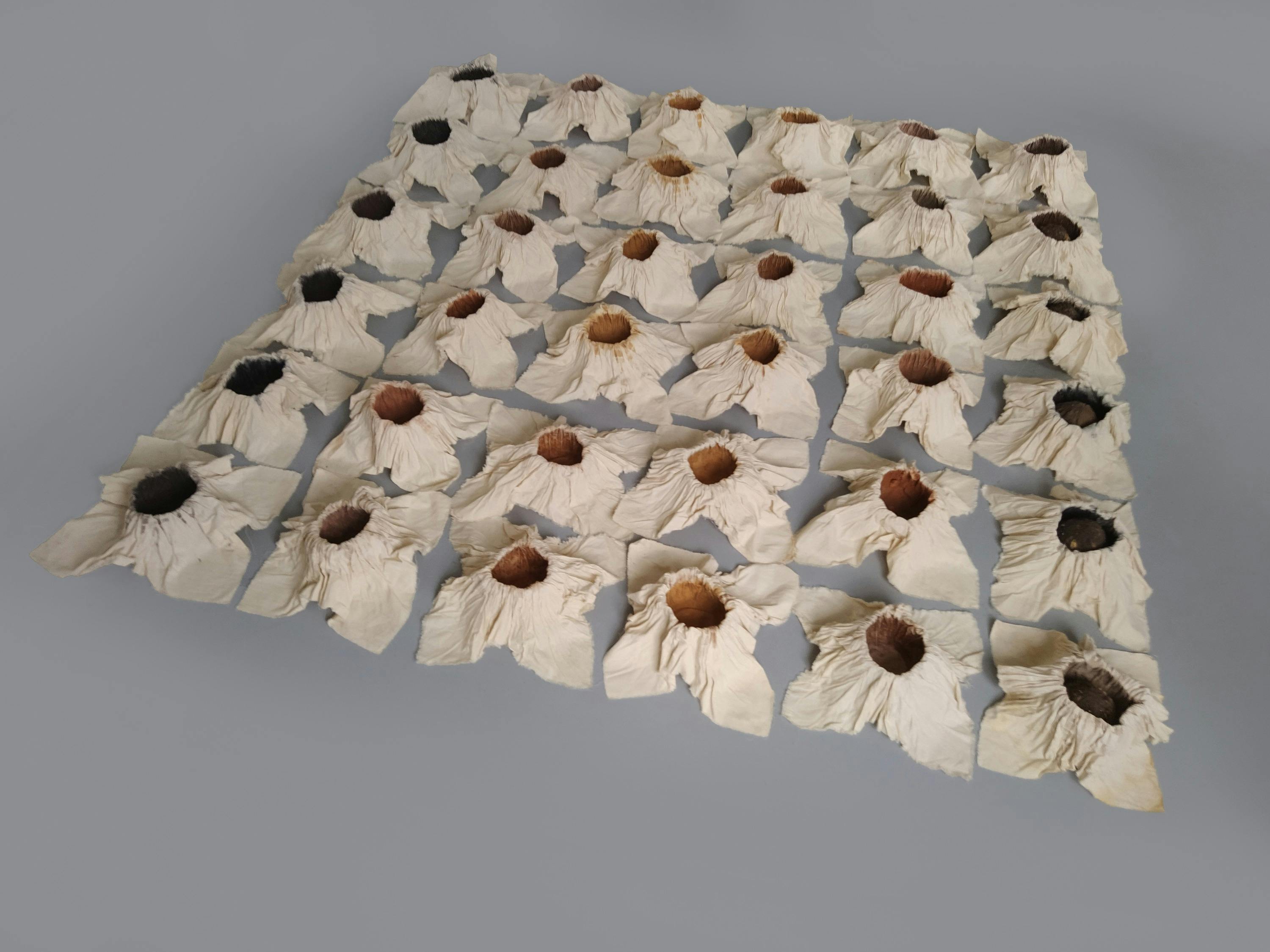 Exhibition: International Art Textile Biennale 2025
