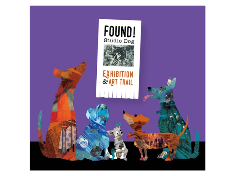 Image for FOUND! Studio Dog