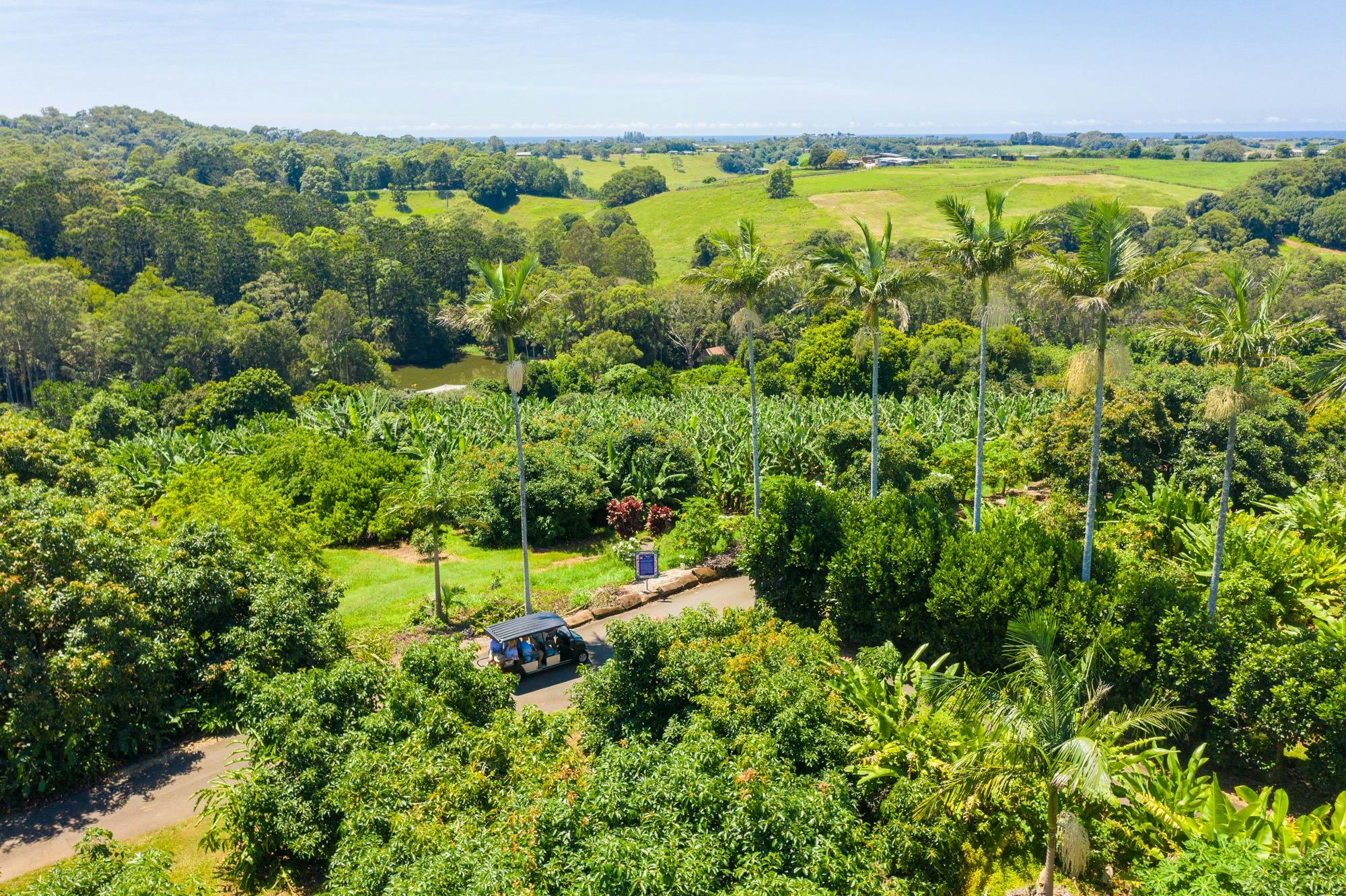 プライベートツアー