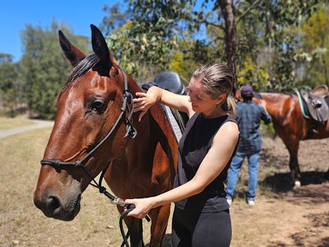 Guided Horse ride picnic experience (2 hours)