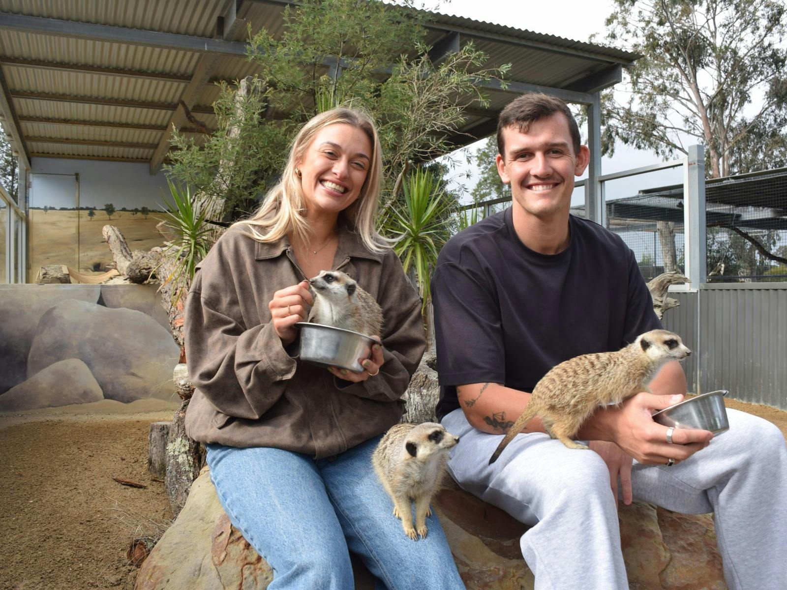 Two visitors sit with several meerkats during a supervised animal encounter.