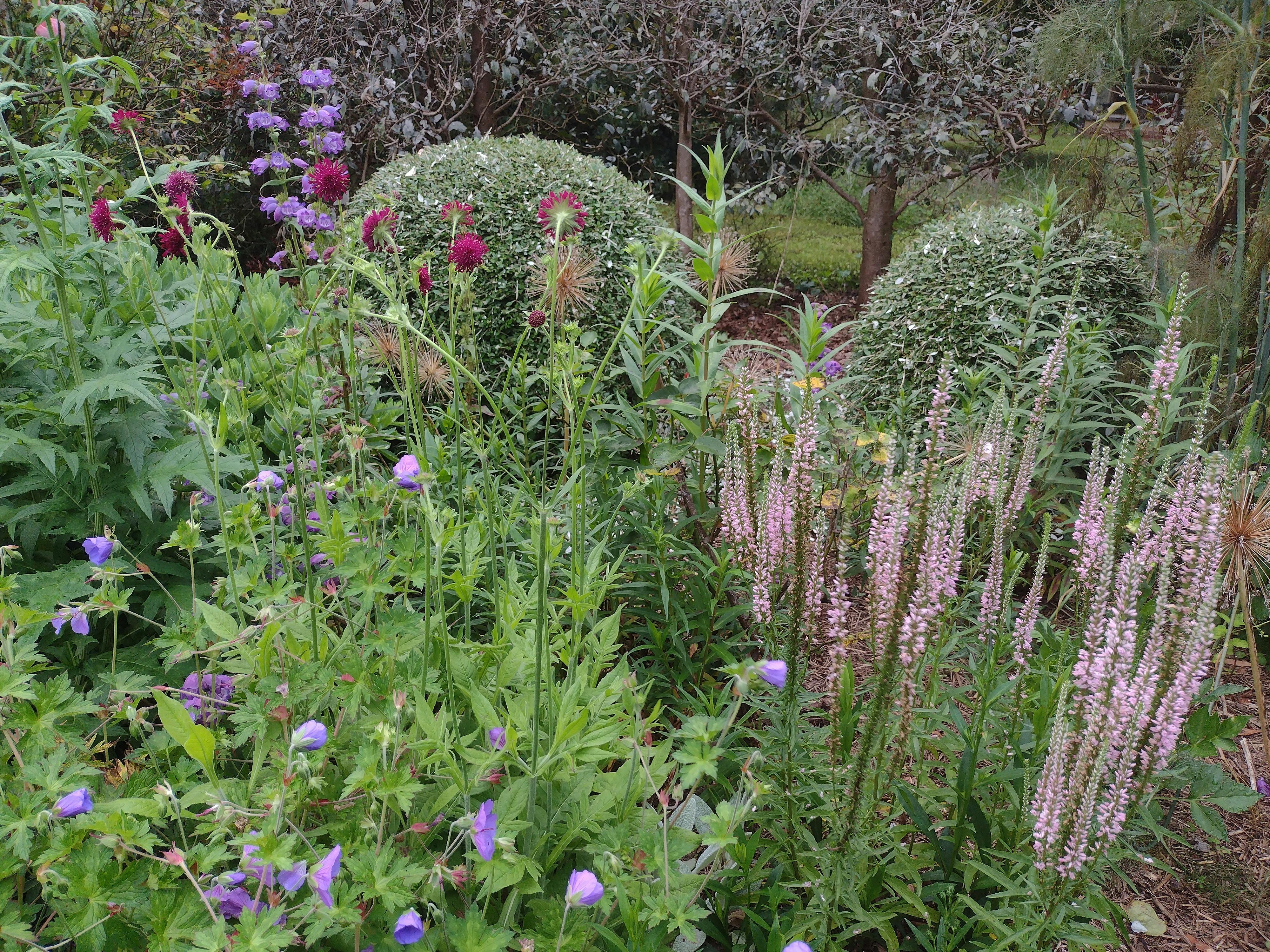 Open Gardens Victoria - The Apiary, plants and flowers