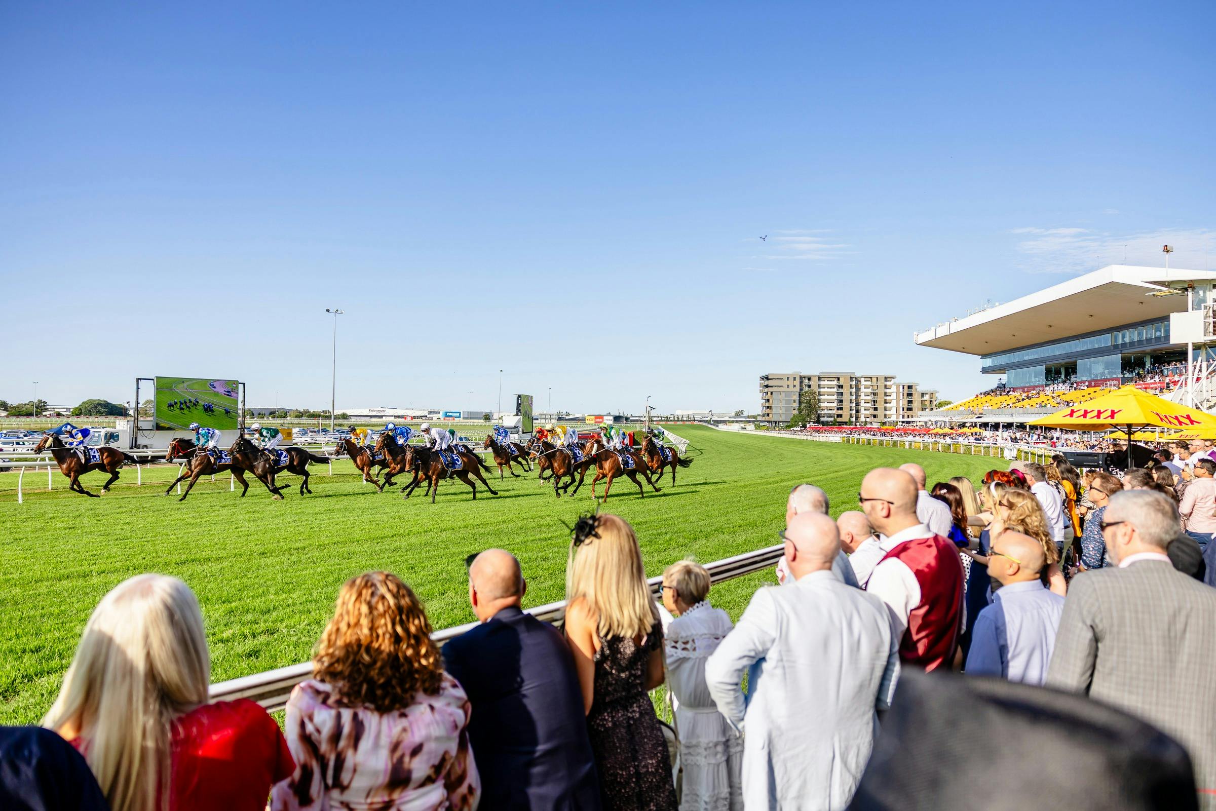 Horses run past an excited crowd at Doomben Racecourse