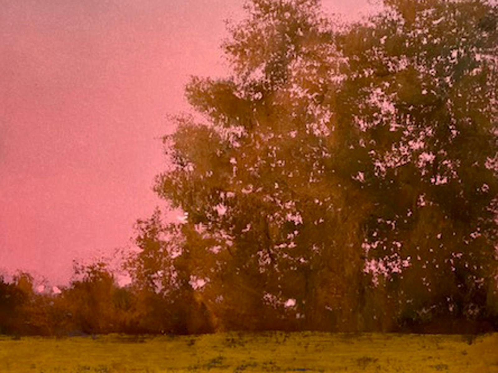 Quietlands by Fiona Kent at The Peisley St Gallery