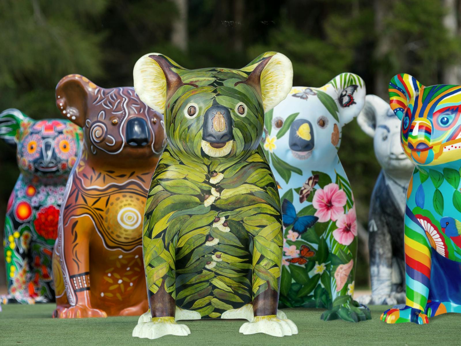 Image for Hello Koalas comes to Campbelltown