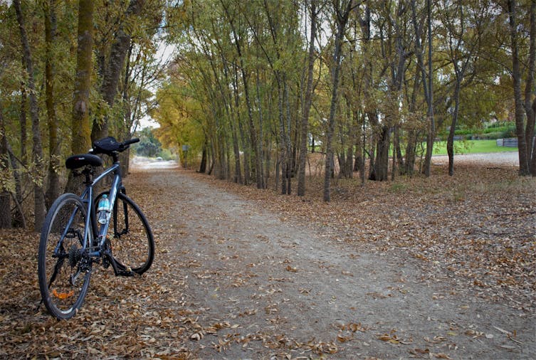 Riesling Trail Bike Hire