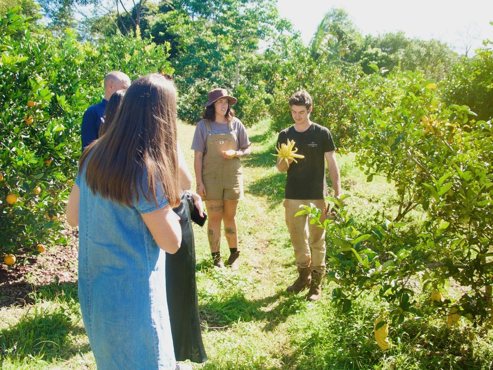 Farm to fork tour with guests talking to farmer who is holding a unique citrus plant with fingers