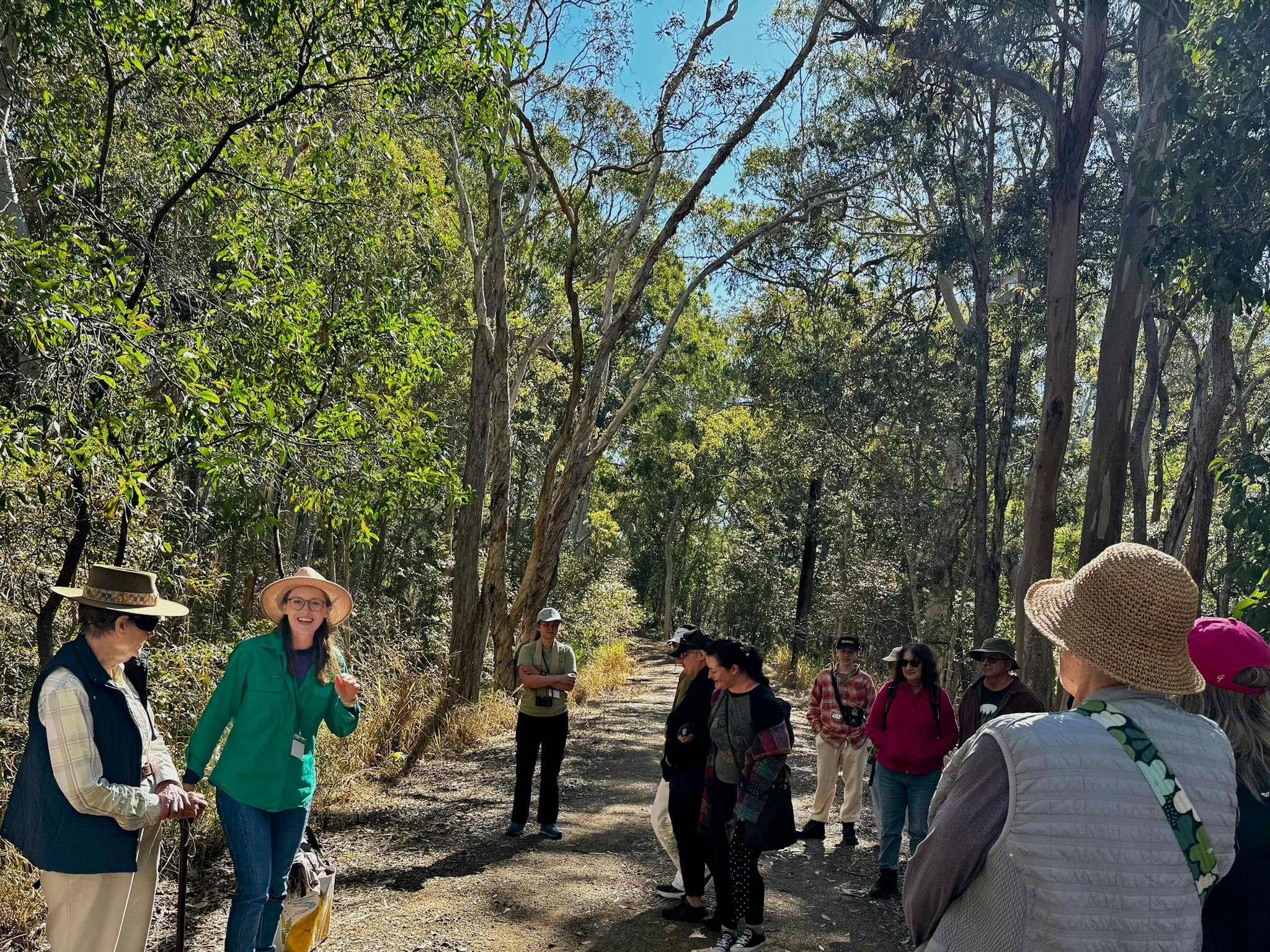 Group forest bathing walk Group forest bathing walk