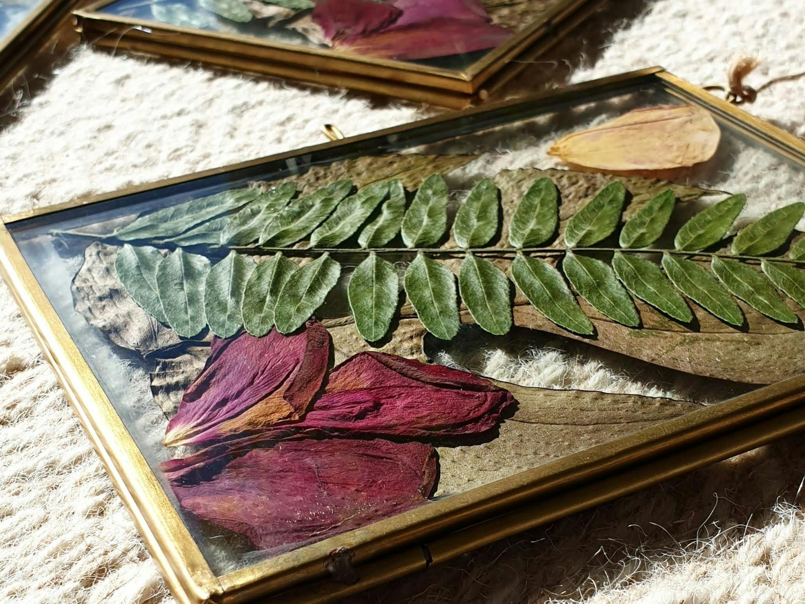 Image for Whistle & Page