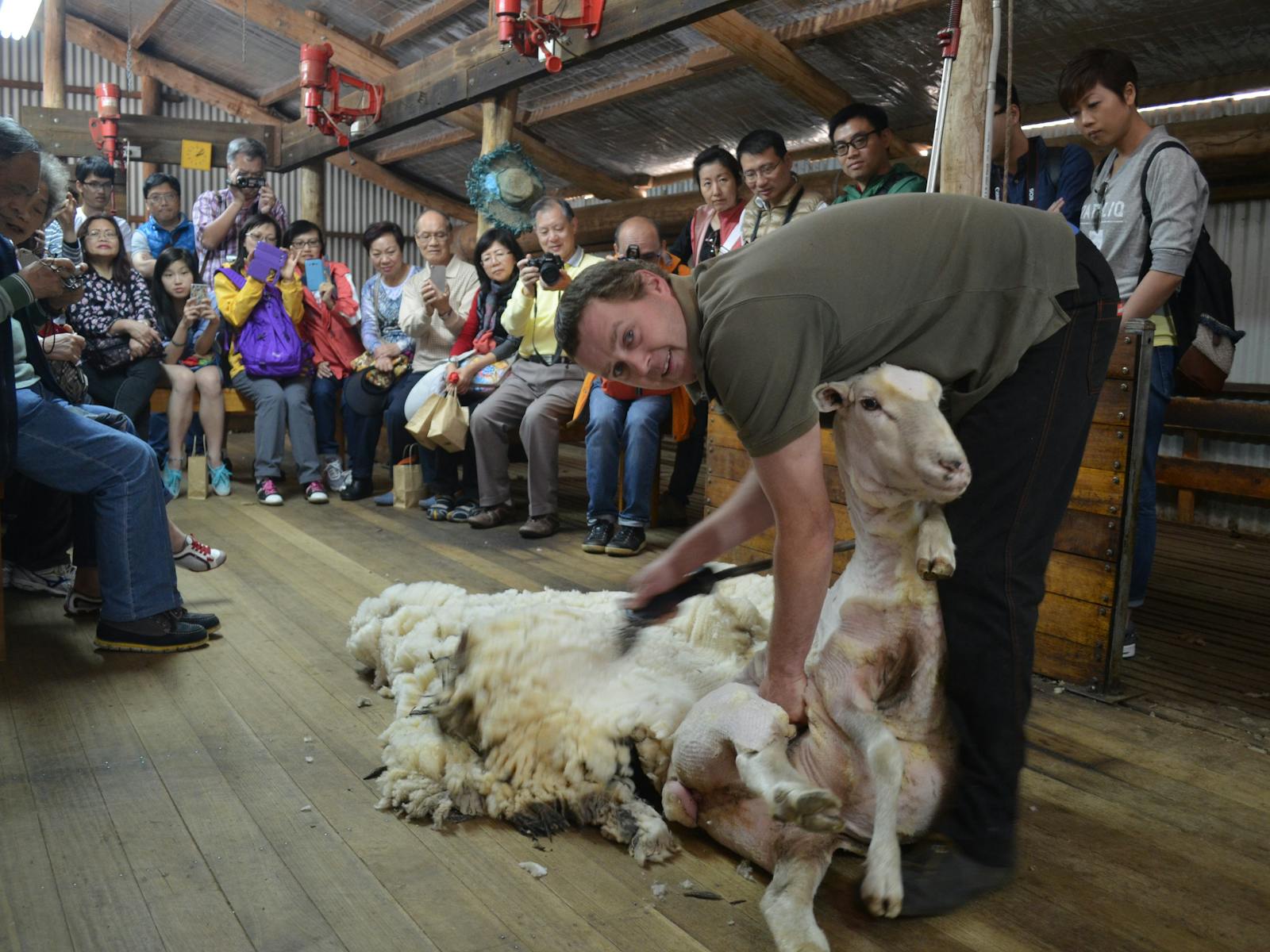 Shearing Away