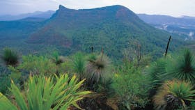 Cunninghams Gap and Spicers Gap, Main Range National Park