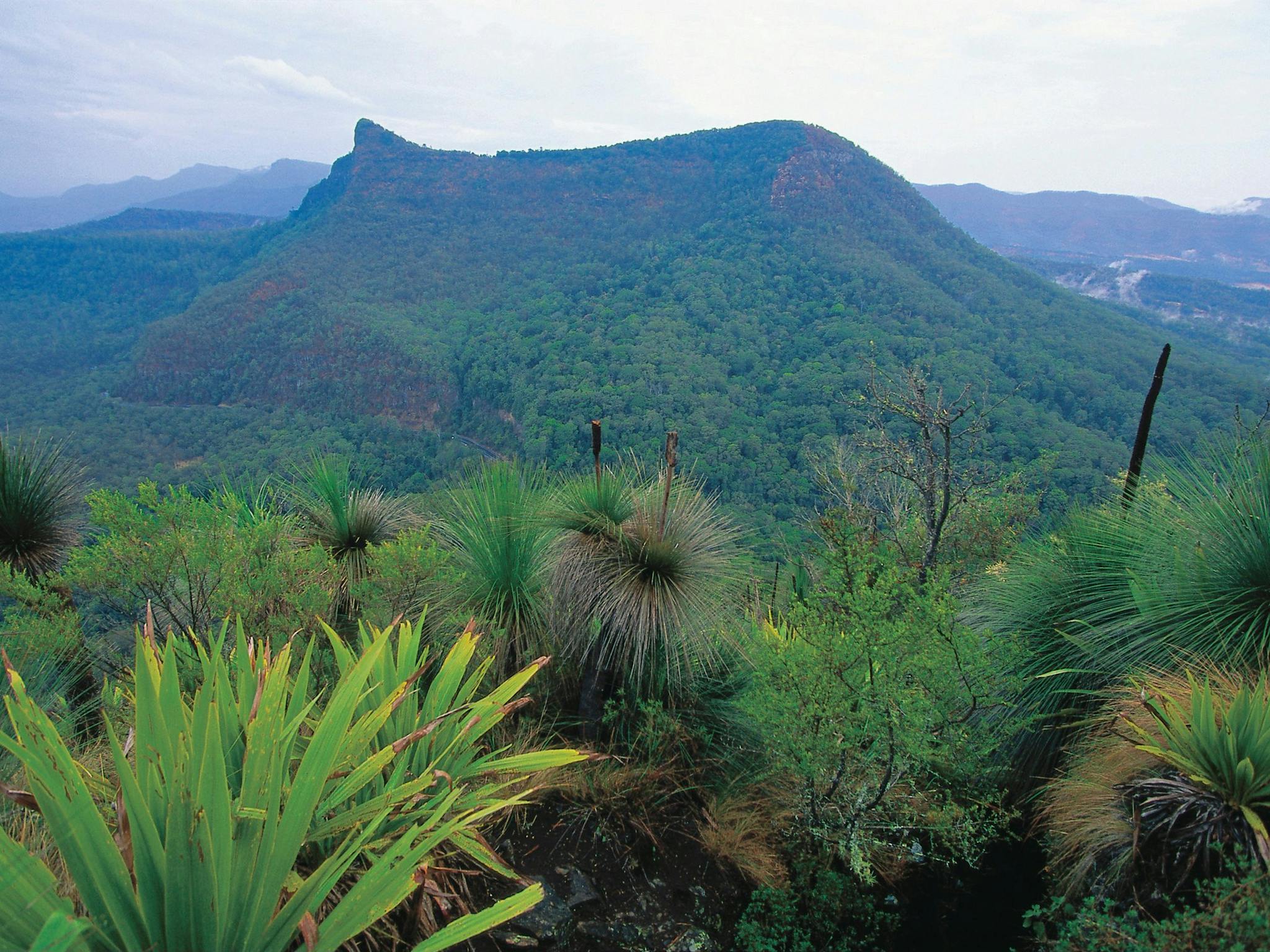 Cunninghams Gap and Spicers Gap Main Range National Park Cunninghams Gap and Spicers Gap Main Range National Park