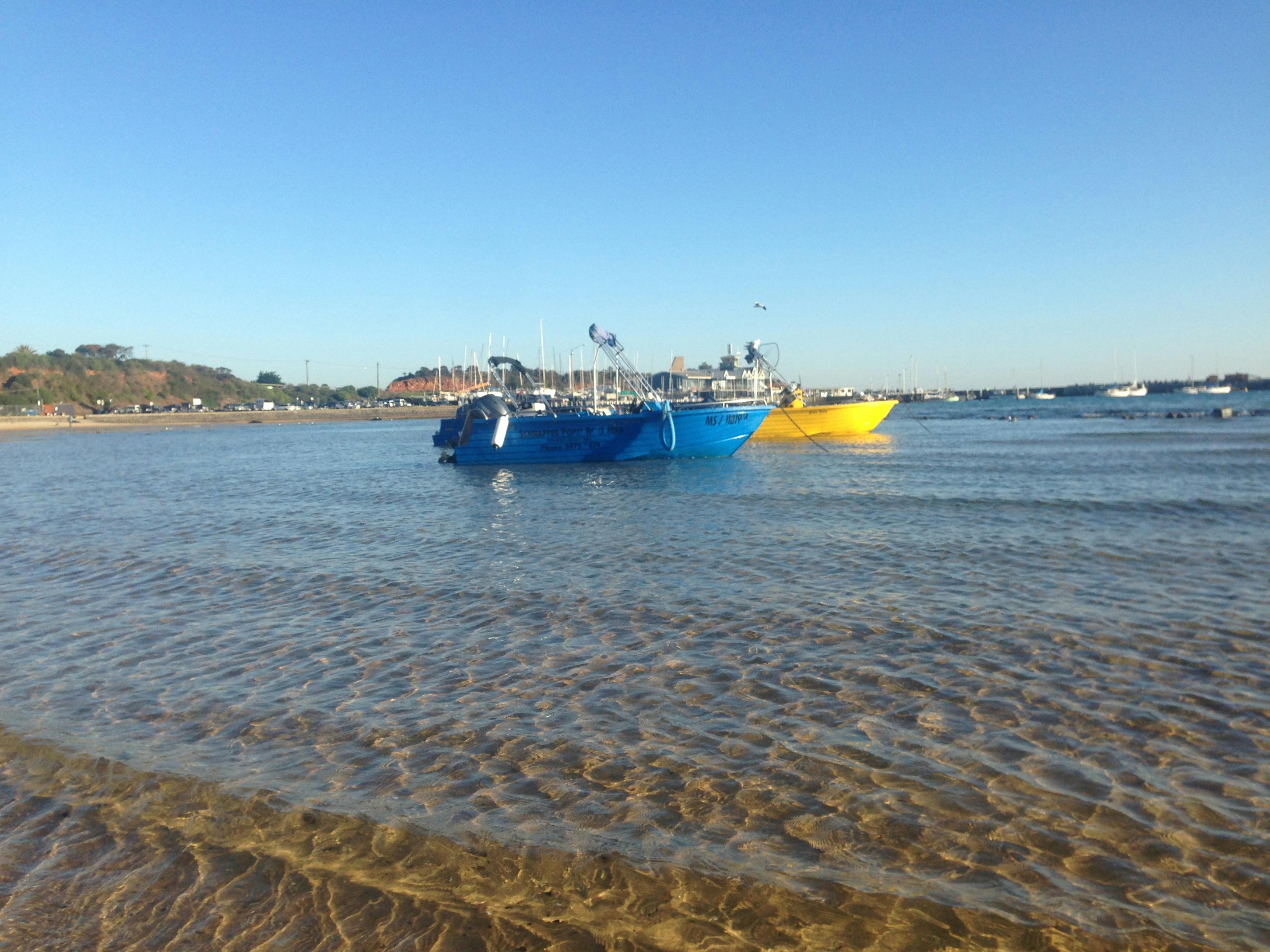 self drive boat hire off the beach mornington