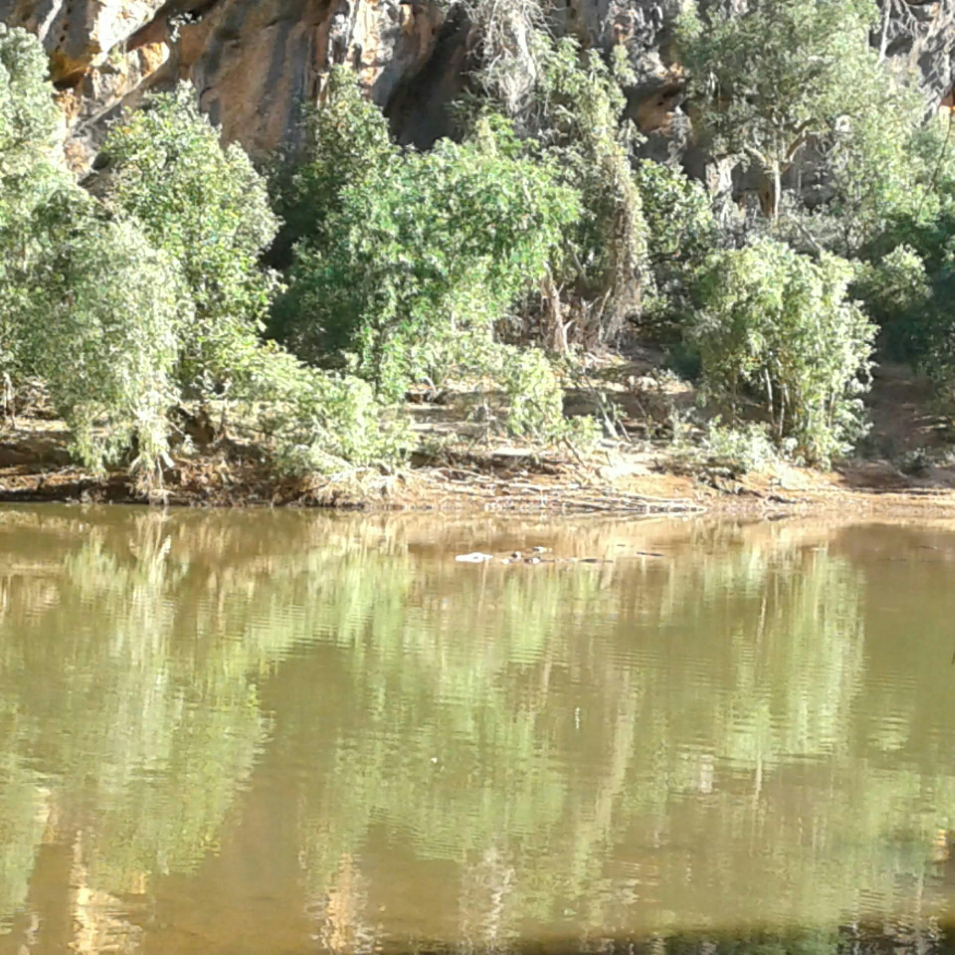 Windjana Gorge