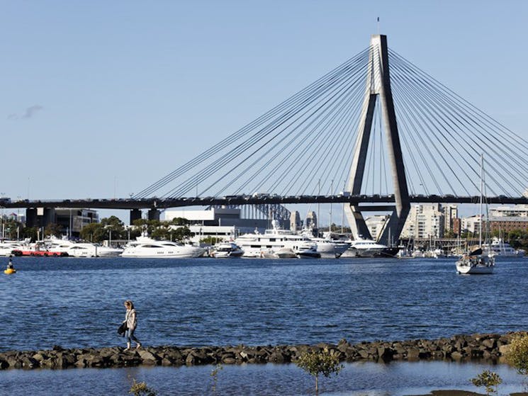 Blackwattle Bay Park