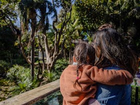 Woman holding child looking out across boardwalk into White-cheeked Gibbon habitat