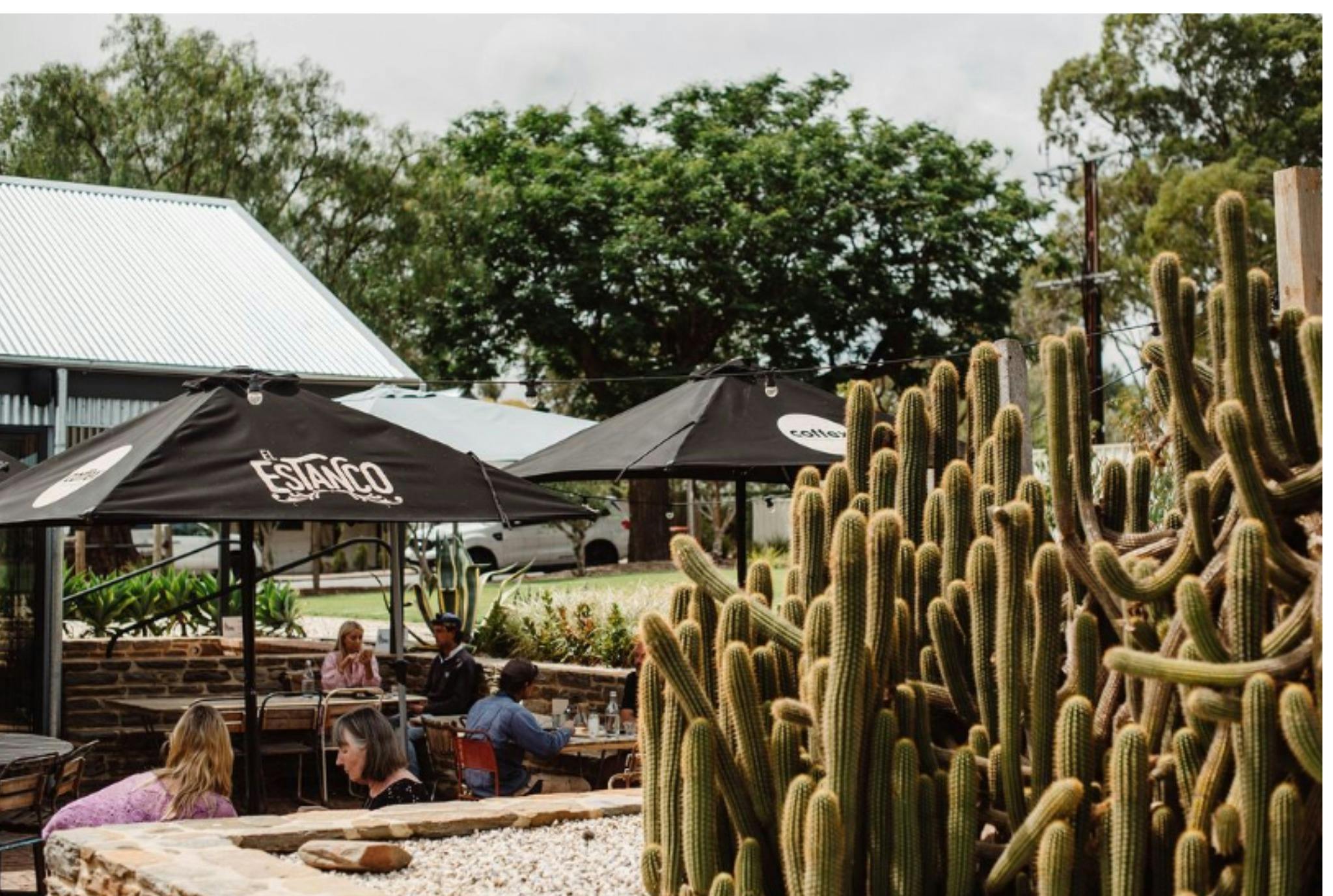 A Feast over Fire with Mitchell Wines x El Estanco