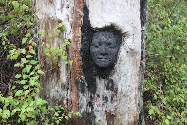 Understory Art and Nature Trail