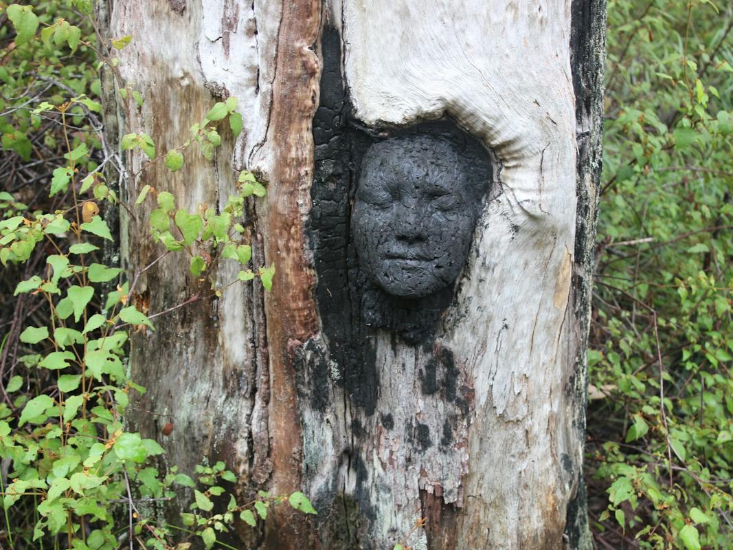 Understory Art & Nature Trail