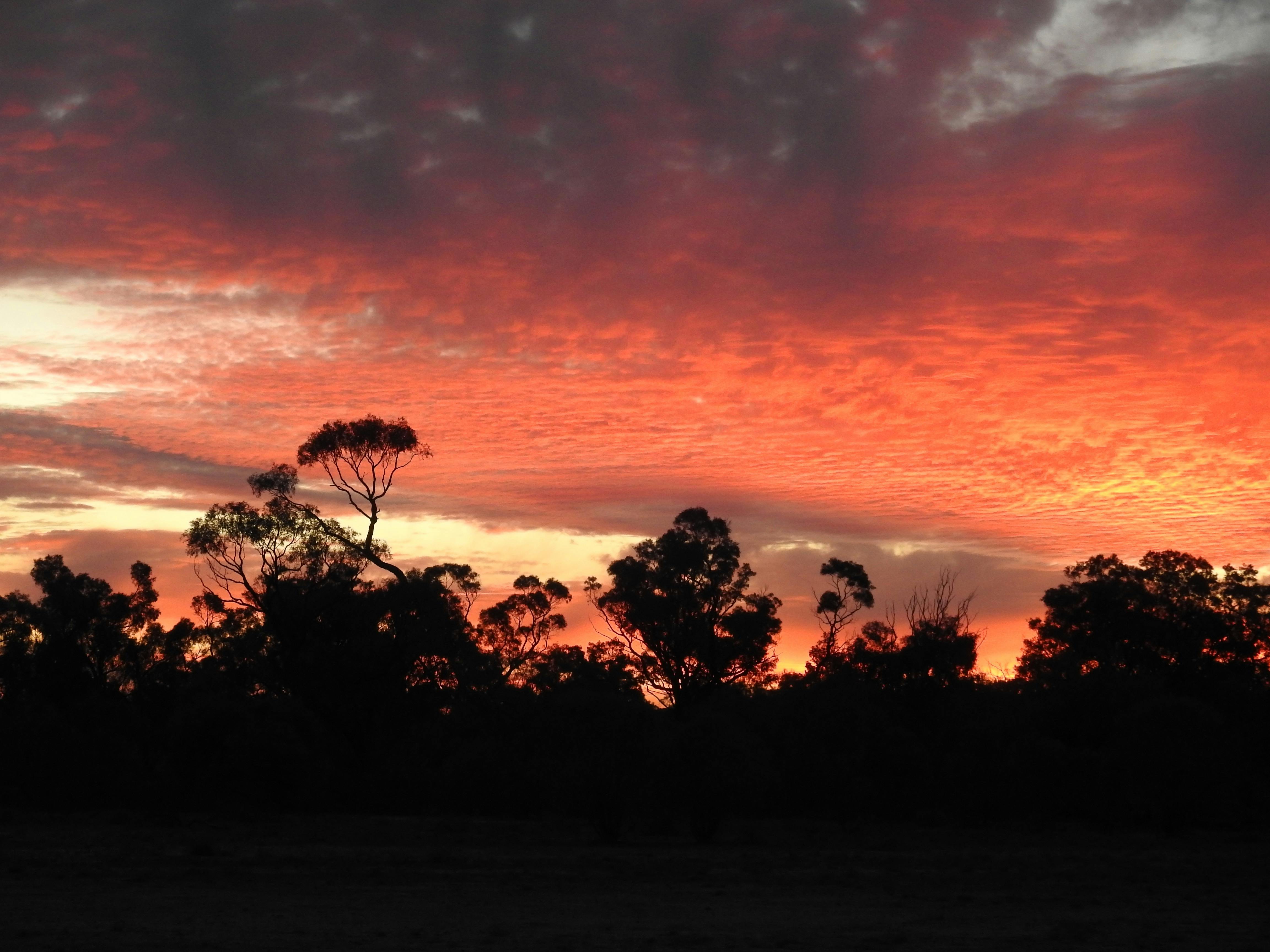 Outback sunset at Bowra