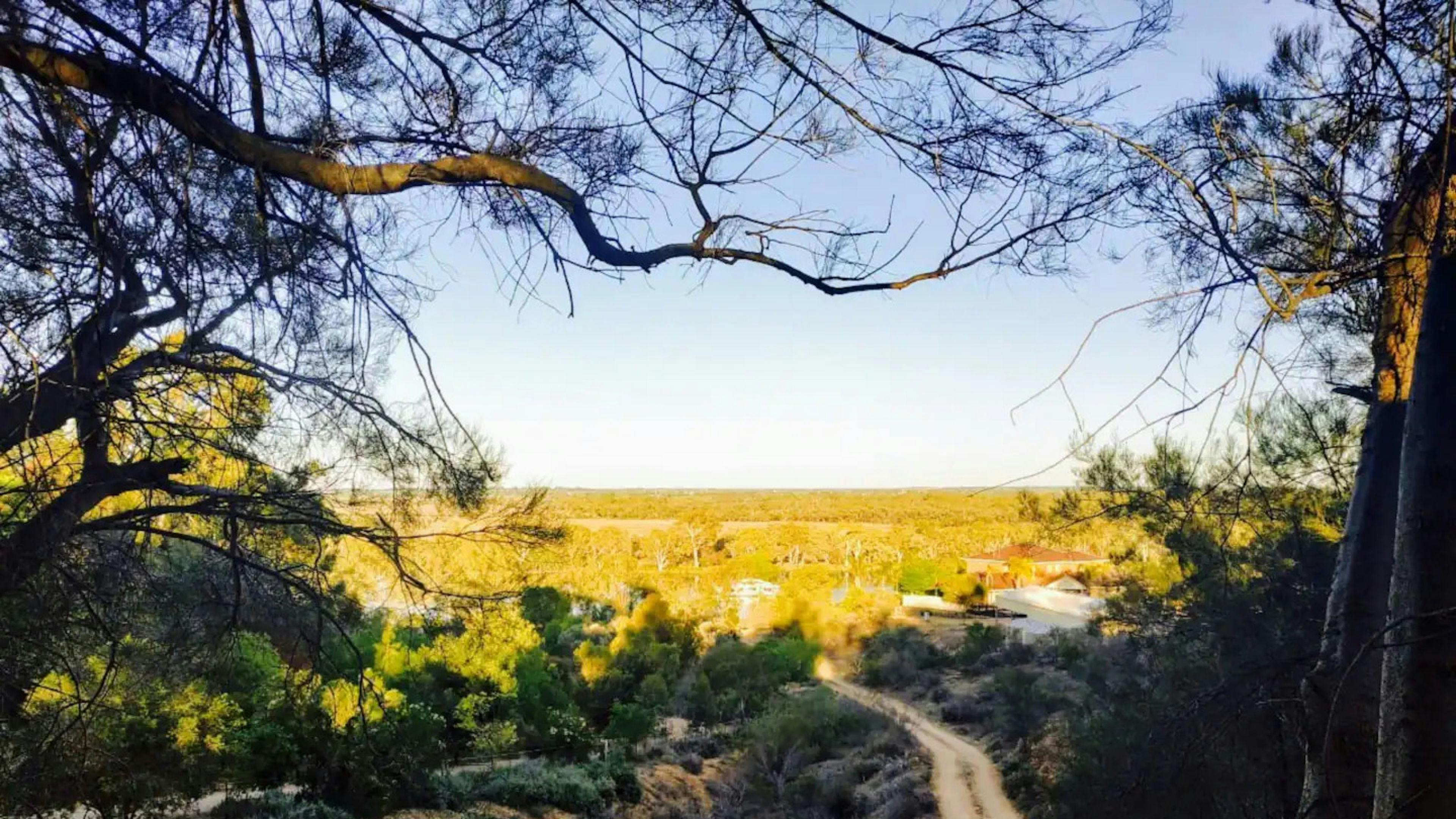 Paringa Pet Friendly Farmstay