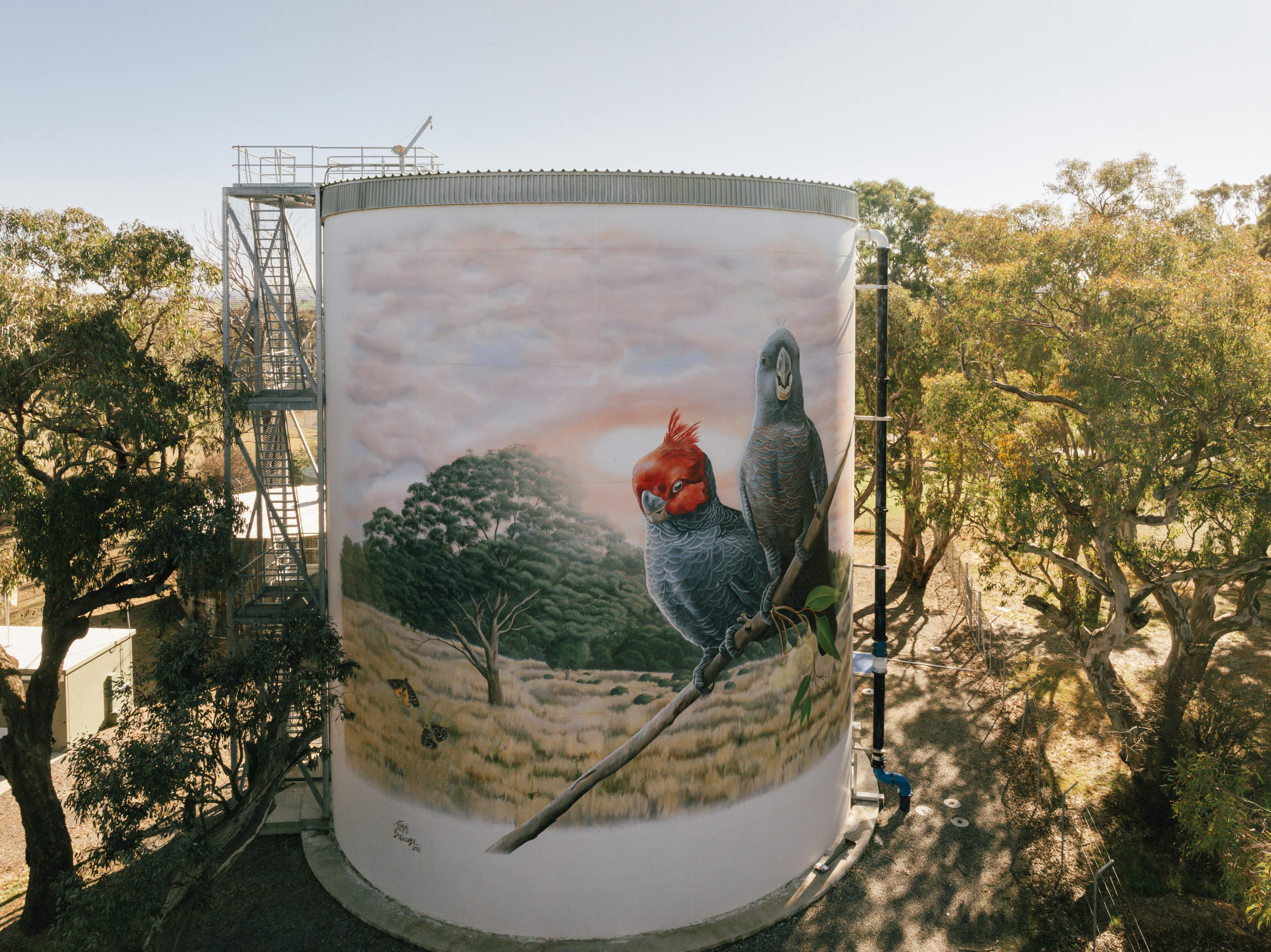 Murrumbateman Water Tank Mural