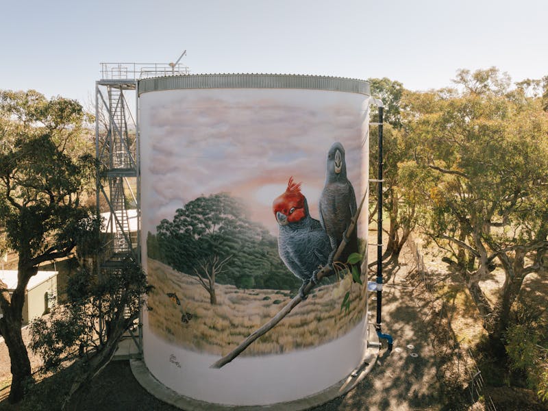 Murrumbateman Water Tank Mural