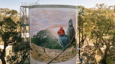 Murrumbateman Water Tank Mural