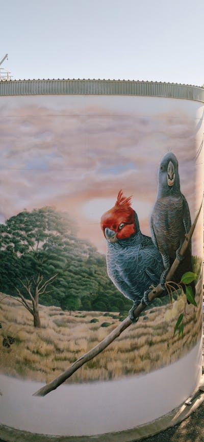 Murrumbateman Water Tank Mural