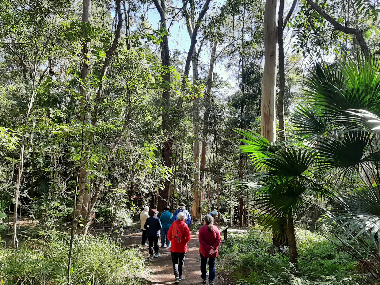 Held Outside - Nature Connection Experiences