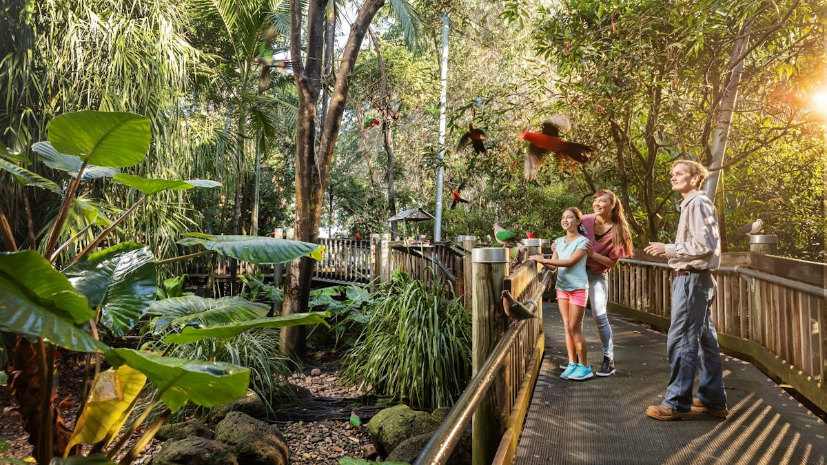 Walk-through Bird Aviary at Ipswich Nature Centre