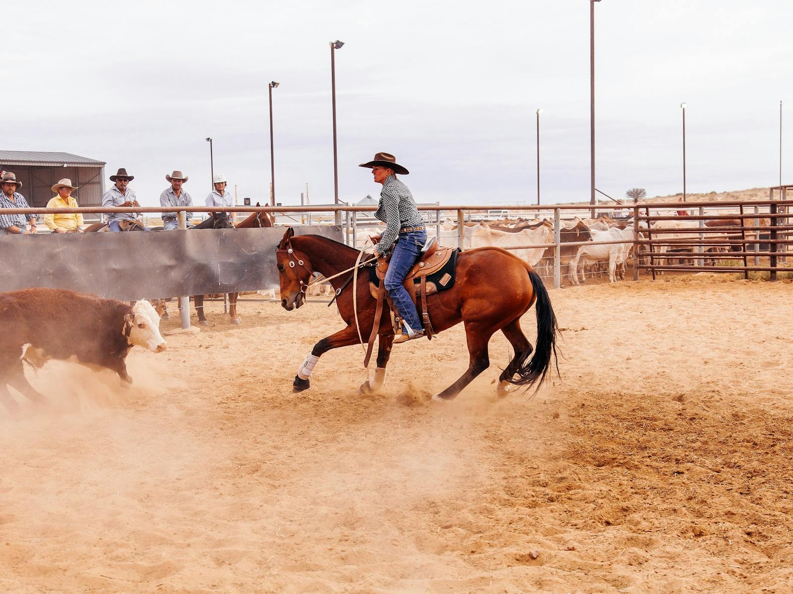Birdsville Campdraft