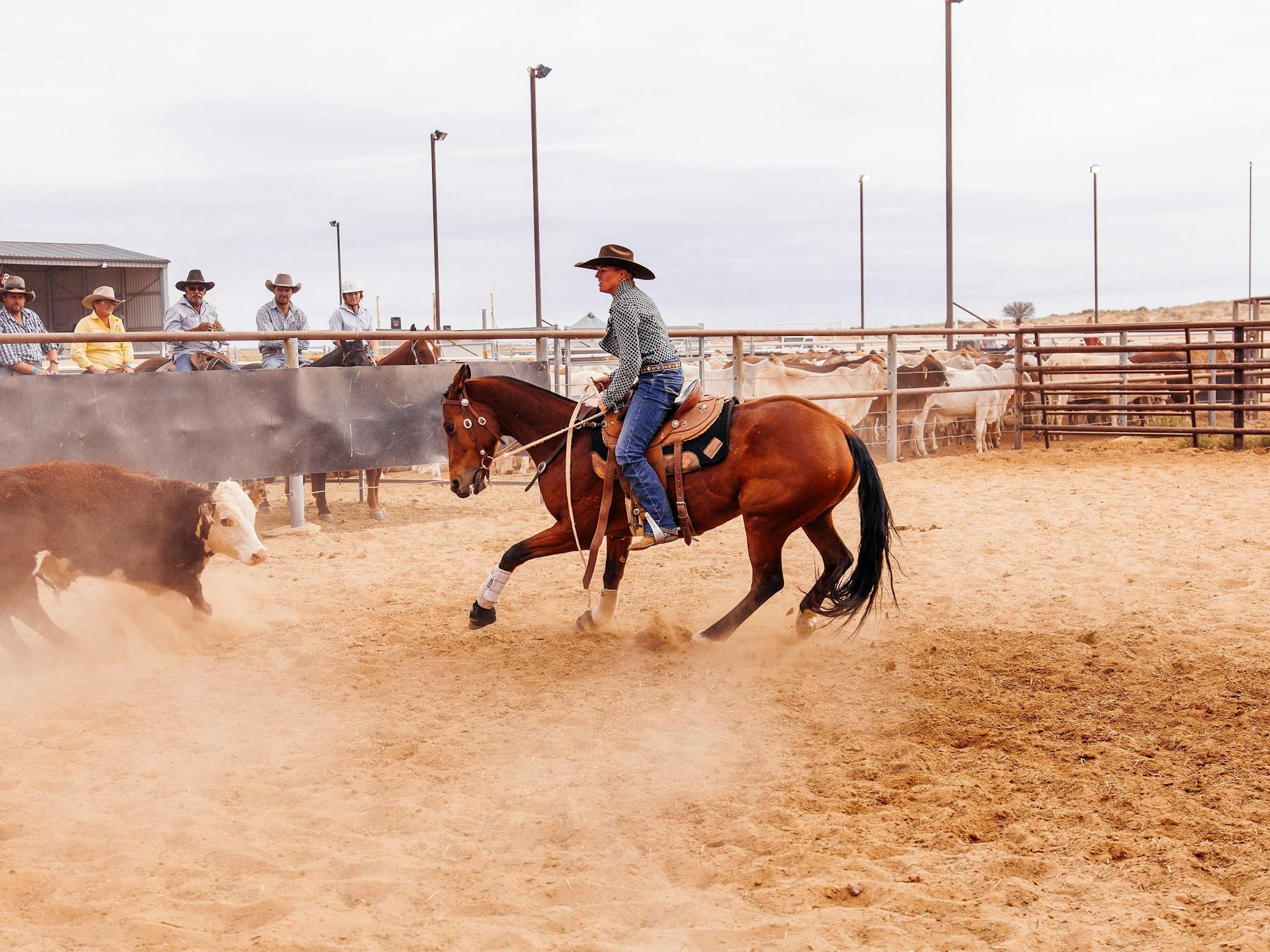 Birdsville Campdraft