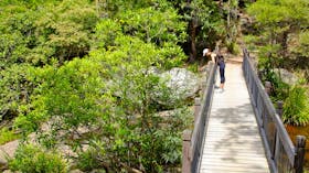 Yuelarbah Walking Track