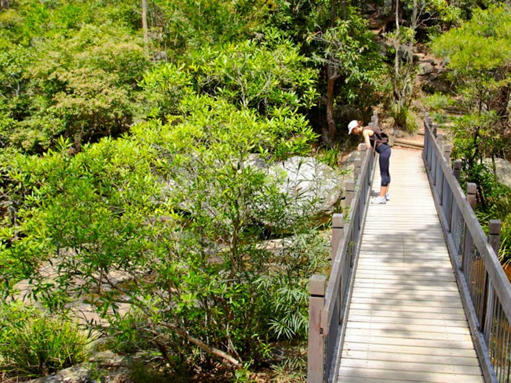 Yuelarbah Track, Glenrock State Conservation Area. Photo: Shaun Sursok/NSW Government