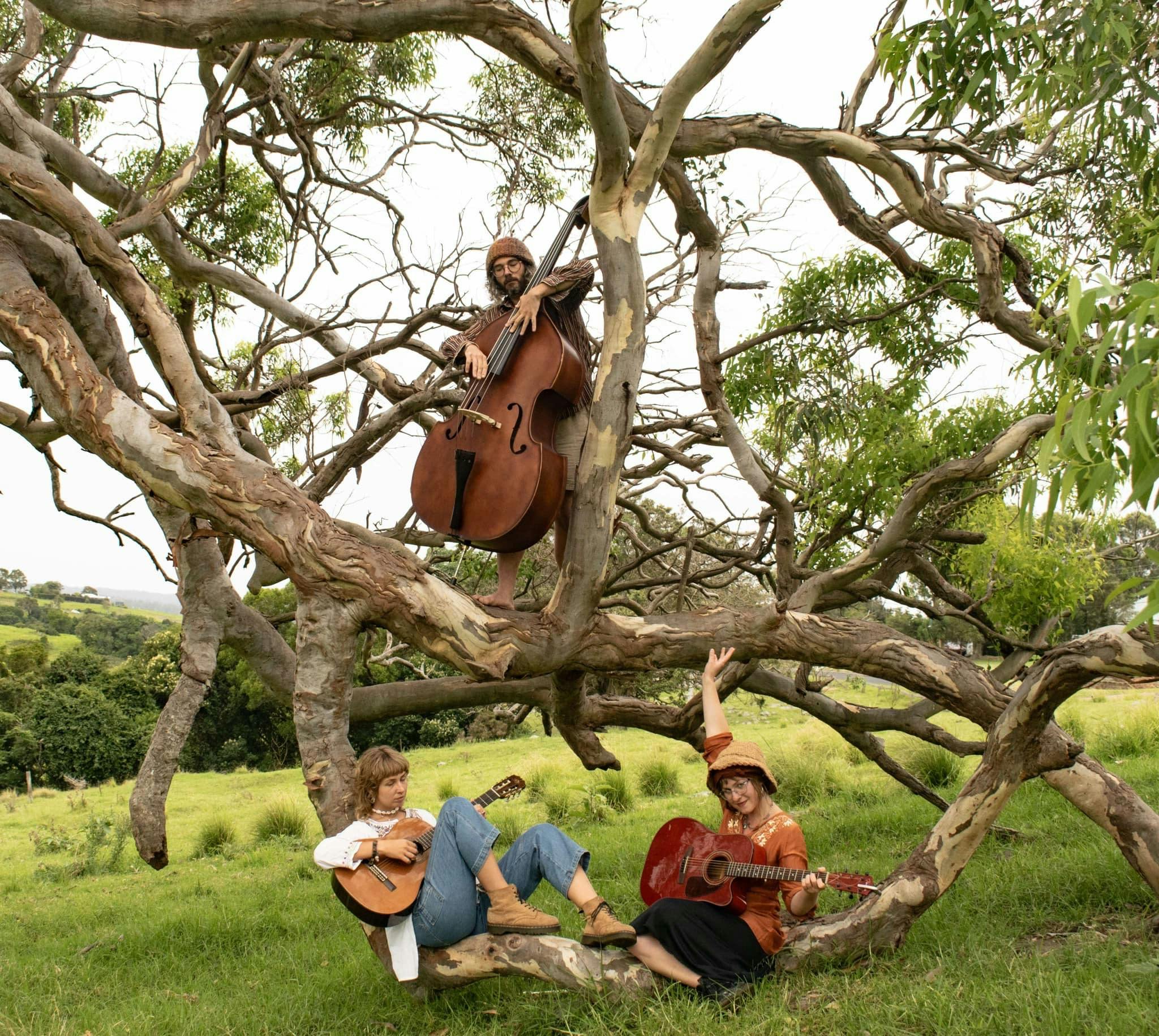 Milton Folk Jazz and Blues Festival