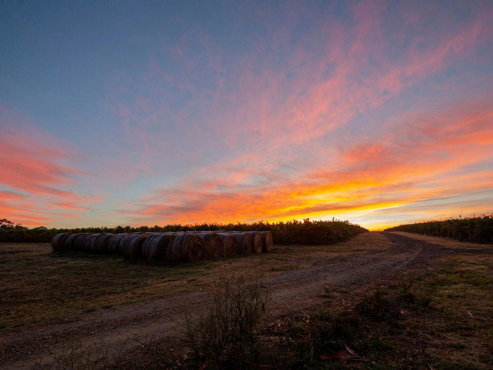 An Evening with Helen's Hill Wine