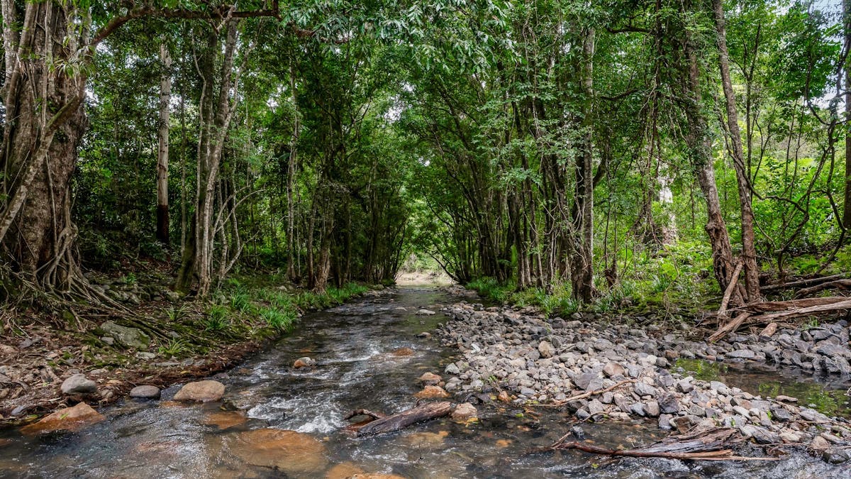 Bridge Creek