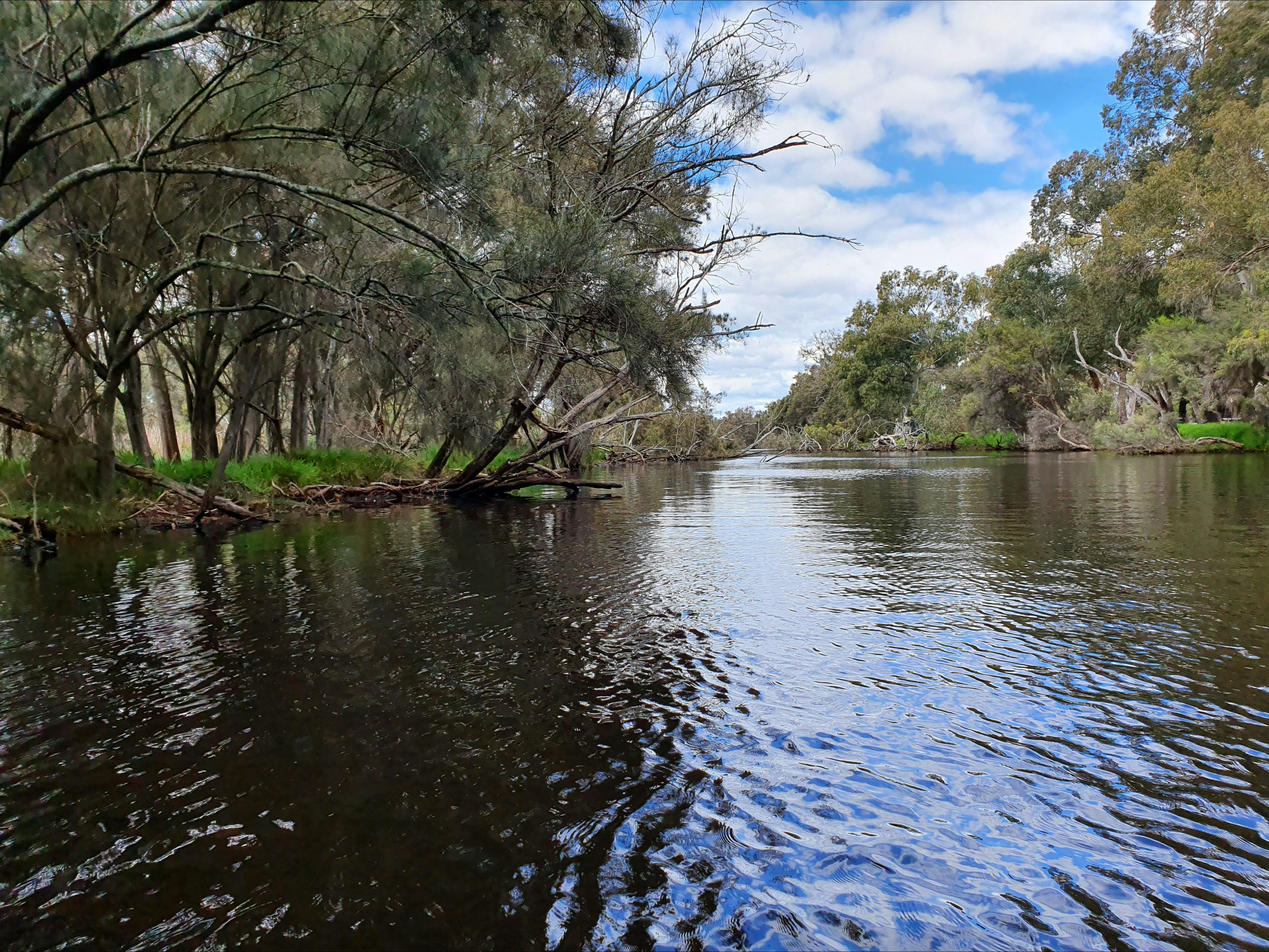 Deep inside the Canning River Wetlands area