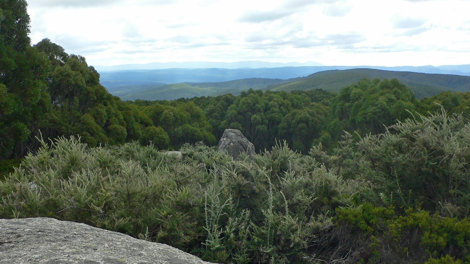 Baw Baw National Park