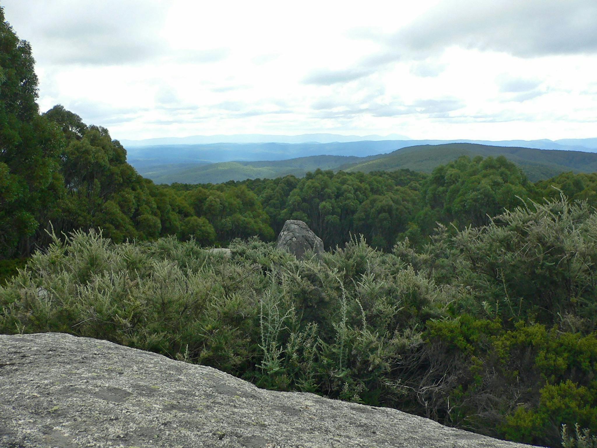 Baw Baw National Park