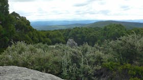 Baw Baw National Park