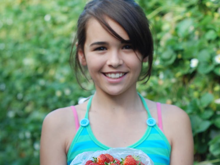 All our strawberries grow at shoulder height for easy picking; whether you're two years old or 102!