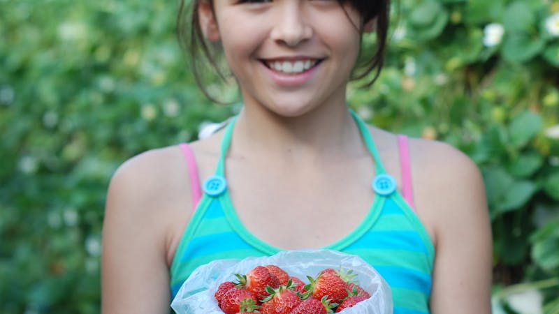 Ricardoes Tomatoes and Strawberries Farm, Port Macquarie