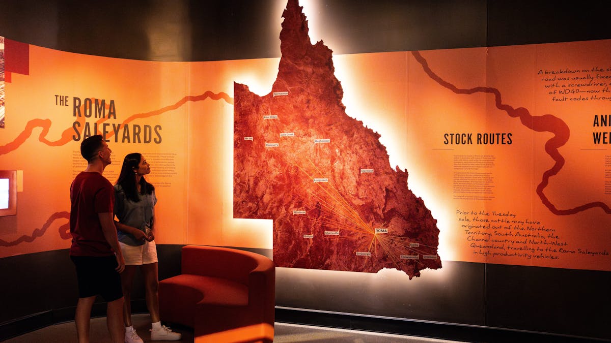 A couple in a dark room, looking at an illuminated map of Queensland showing stock routes