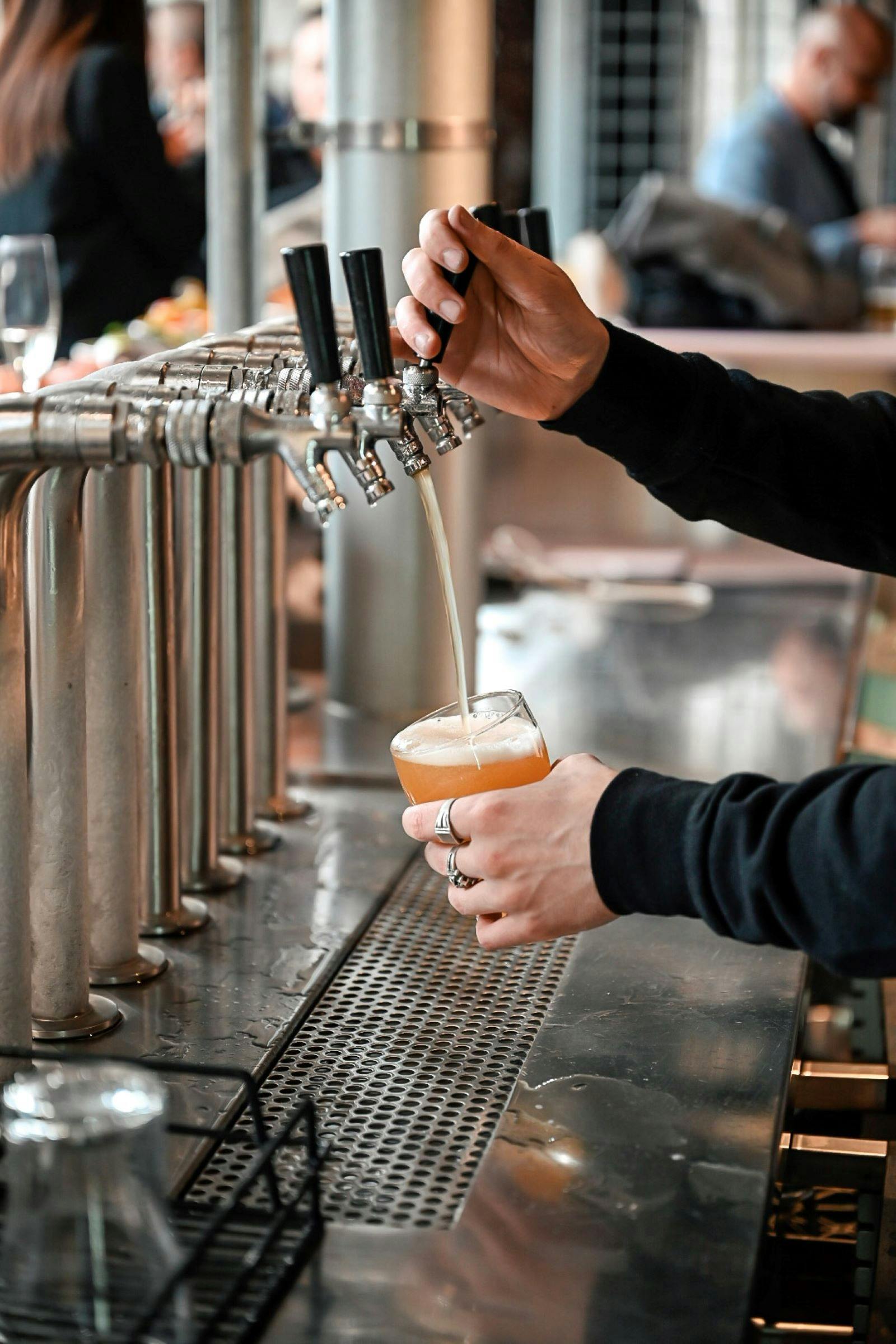 Experience Adelaide Mismatch Brewing Co