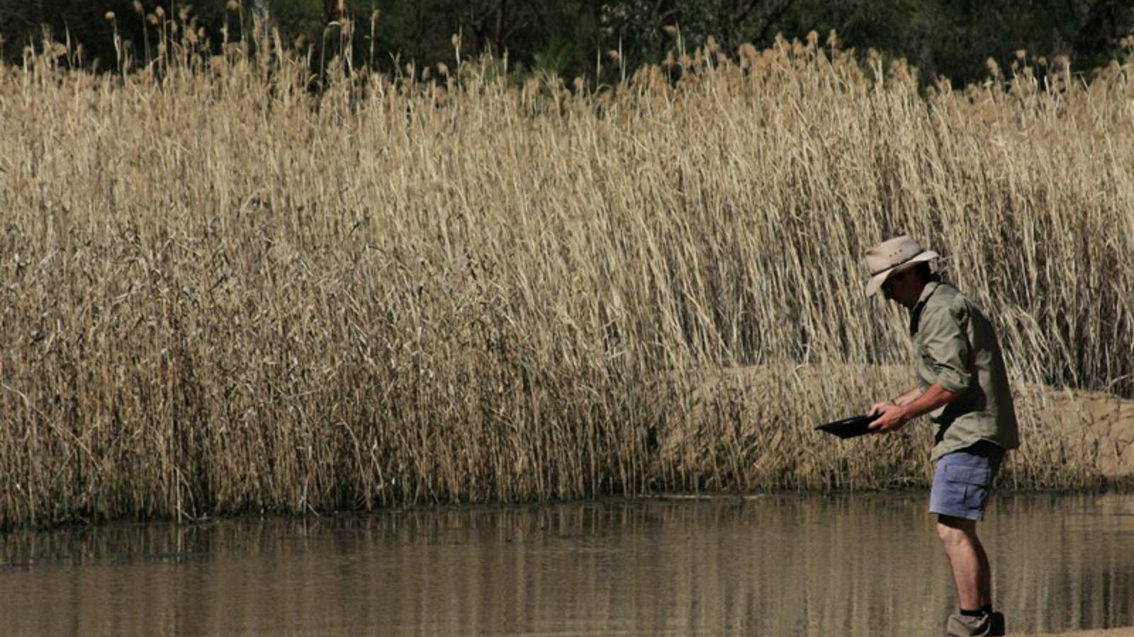Wooldridge Recreation and Fossicking Reserve